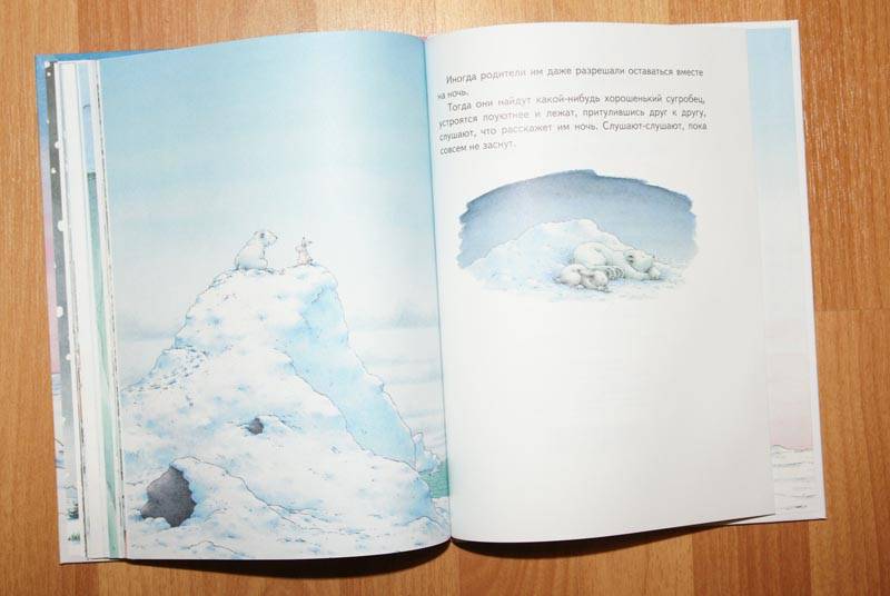 Иллюстрация 49 из 86 для Барни, белый медвежонок - Беер Де | Лабиринт - книги. Источник: Кнопа2