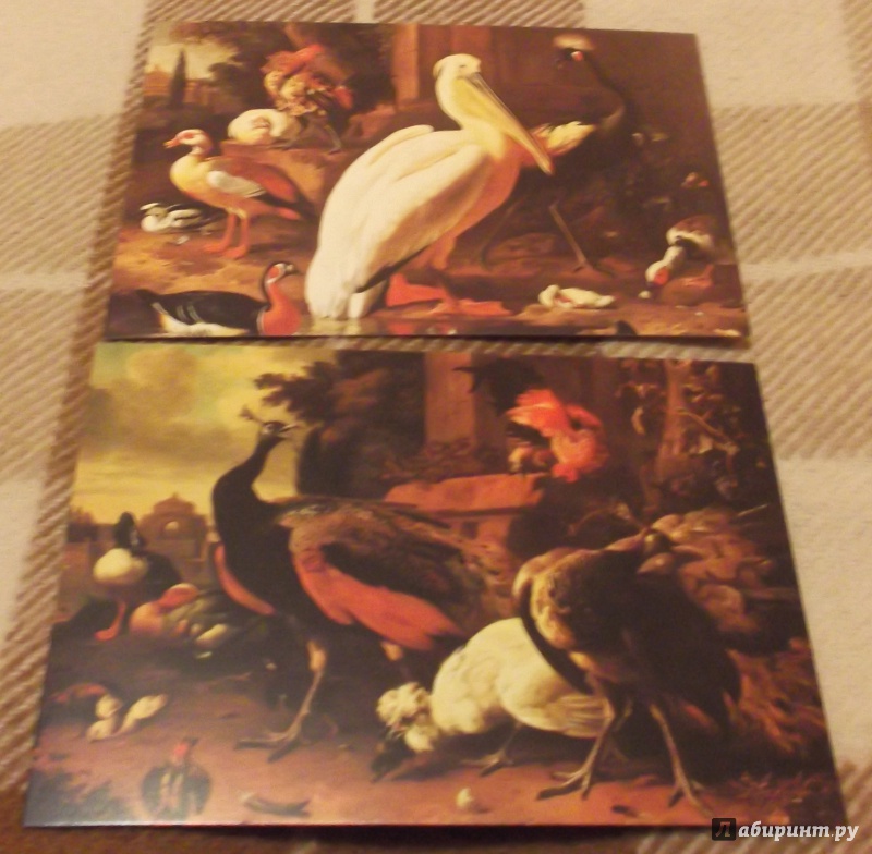 Иллюстрация 8 из 27 для Набор открыток Эрмитаж. Цветы и птицы, 16 штук | Лабиринт - сувениры. Источник: Агаточка