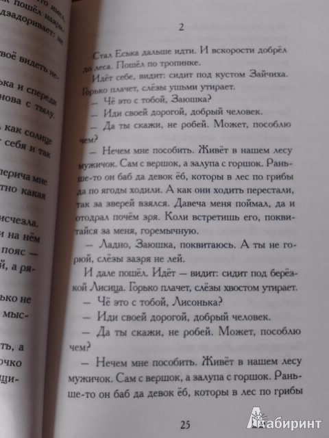 Иллюстрация 4 из 4 для Еська. Сказки для взрослых - Михаил Першин | Лабиринт - книги. Источник: Рожкова  Екатерина