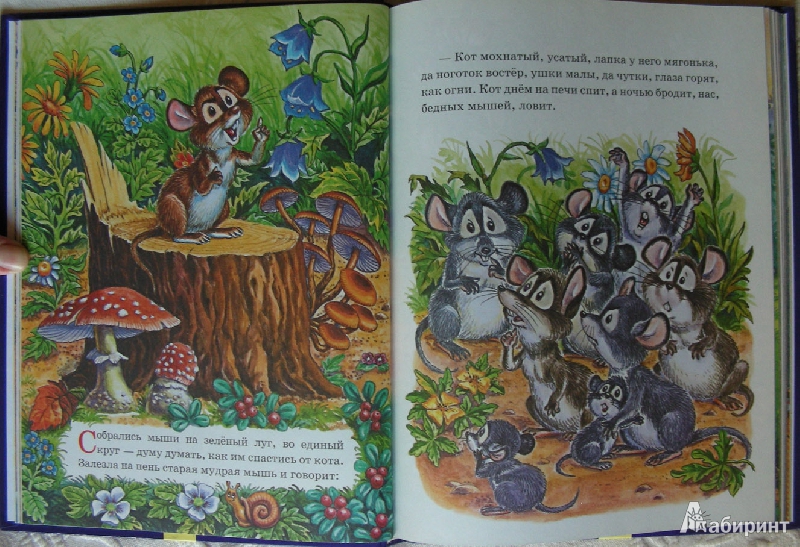 Иллюстрация 6 из 16 для Сказки кота Мурлыки | Лабиринт - книги. Источник: Julia Shilova
