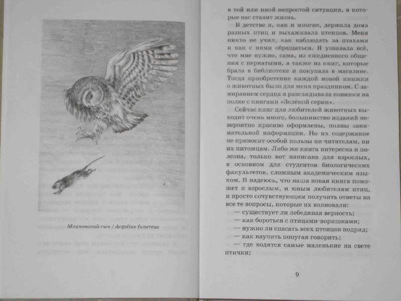 Иллюстрация 20 из 39 для О людях и птицах - Ольга Кувыкина | Лабиринт - книги. Источник: Трухина Ирина