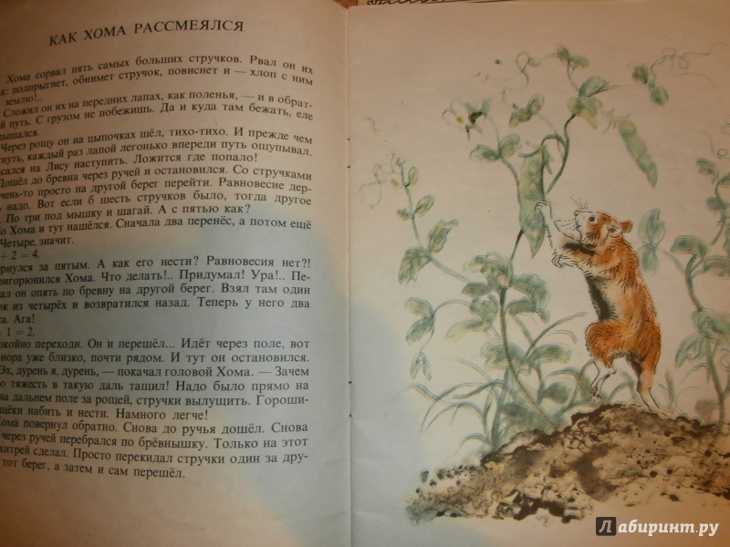 Иллюстрация 25 из 51 для Приключения Хомы - Альберт Иванов | Лабиринт - книги. Источник: Tiger.