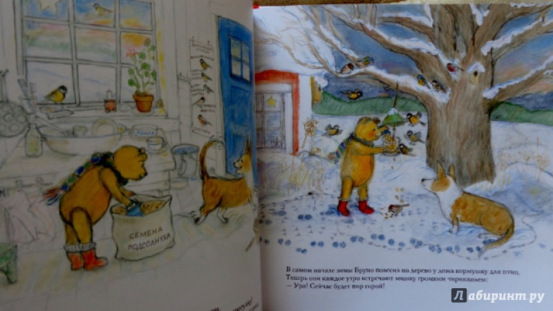 Иллюстрация 16 из 54 для Зима мишки Бруно - Гунилла Ингвес | Лабиринт - книги. Источник: Матти Суоми