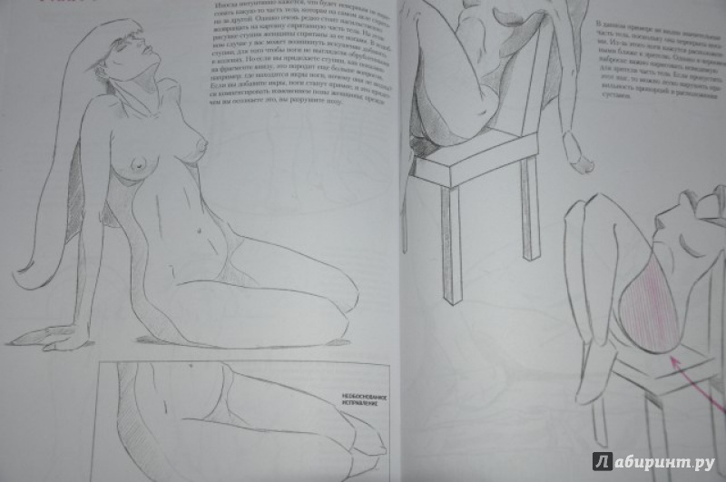 Иллюстрация 23 из 35 для Анатомия для художника. Совсем просто - Кристофер Харт | Лабиринт - книги. Источник: Аблакотова  Надежда