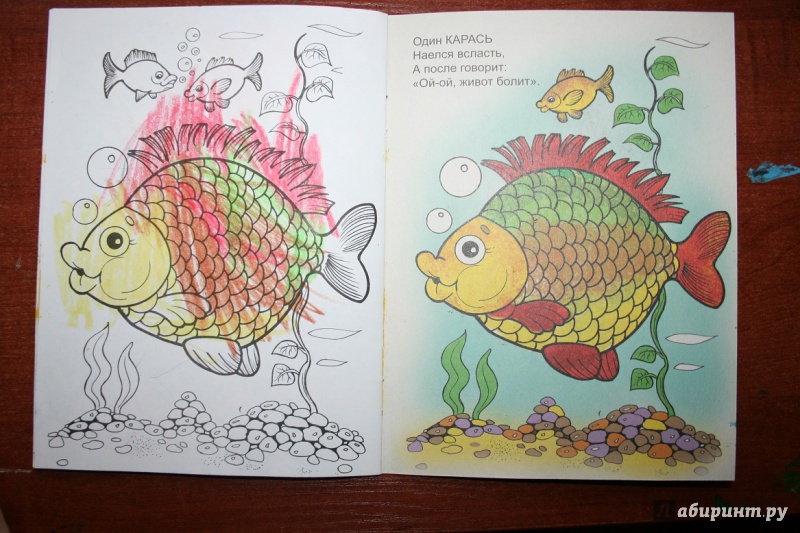 Иллюстрация 23 из 25 для Кто живет в воде - Наталья Мигунова | Лабиринт - книги. Источник: Рудис  Александра