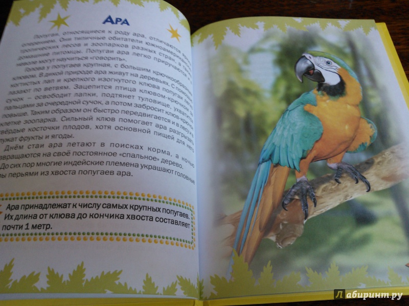 Иллюстрация 5 из 51 для Атлас животных для малышей - Татьяна Комзалова | Лабиринт - книги. Источник: Вероника Руднева