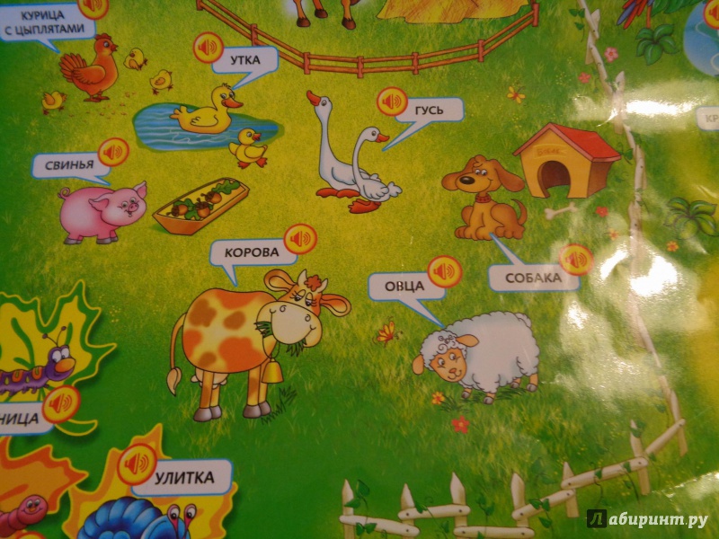 Иллюстрация 8 из 9 для Игрушка "Говорящий зоопарк" (13130) | Лабиринт - игрушки. Источник: ЕККА