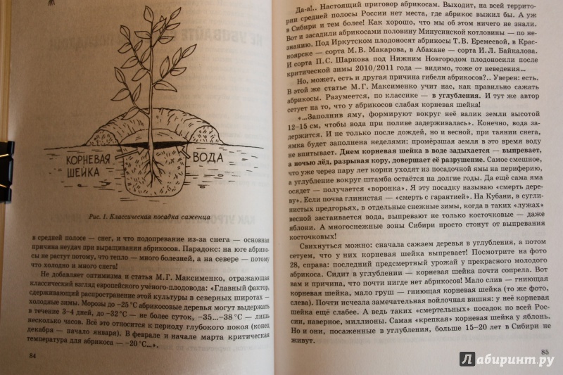 Иллюстрация 3 из 13 для Умный сад. Как перехитрить климат - Курдюмов, Железов | Лабиринт - книги. Источник: С  Т