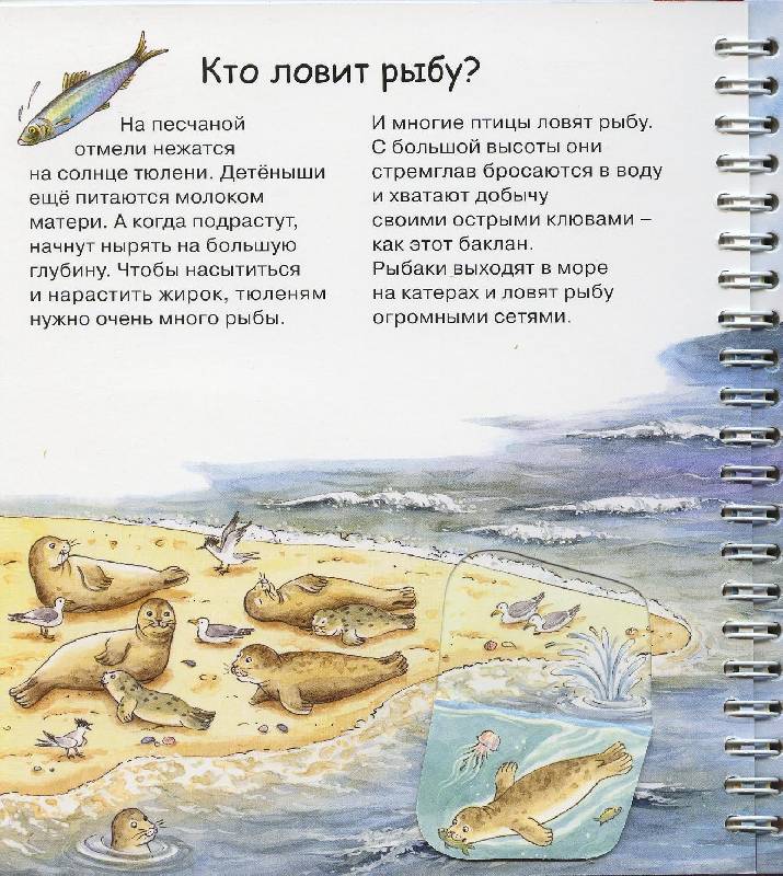 Иллюстрация 26 из 58 для На море - Андреа Эрне | Лабиринт - книги. Источник: Igra