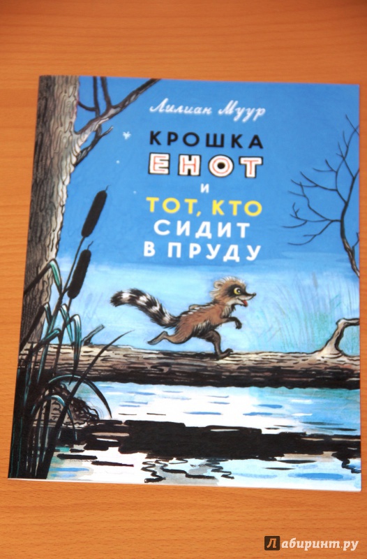 Иллюстрация 67 из 97 для Крошка Енот и тот, кто сидит в пруду - Лилиан Муур | Лабиринт - книги. Источник: Tatiana_Ru