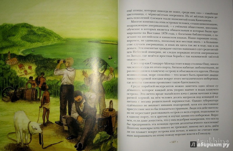 Иллюстрация 57 из 64 для Плавучий остров - Жюль Верн | Лабиринт - книги. Источник: Трухина Ирина