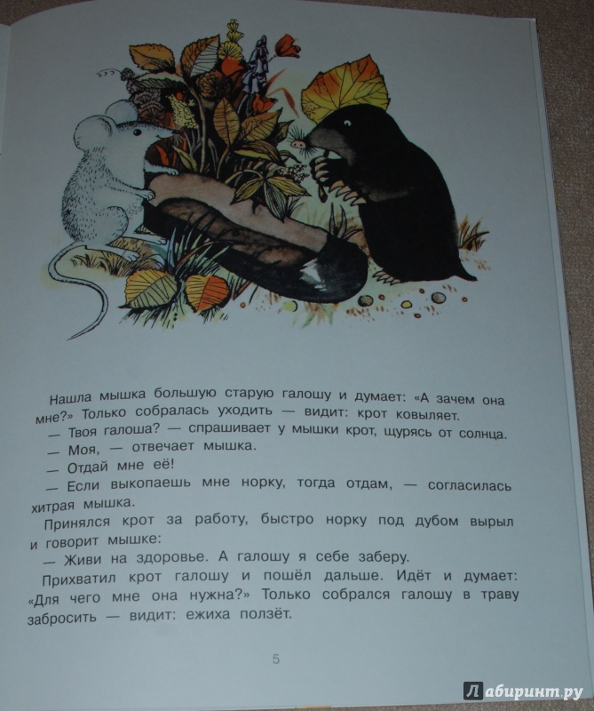 Иллюстрация 25 из 50 для Галоша - Михаил Пляцковский | Лабиринт - книги. Источник: Книжный кот