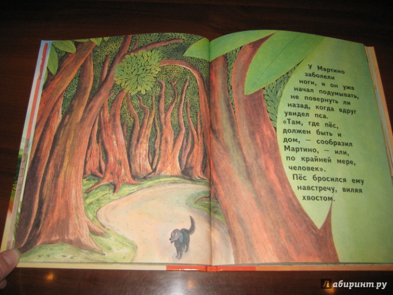 Иллюстрация 18 из 40 для Дорога в никуда - Джанни Родари | Лабиринт - книги. Источник: Никoль
