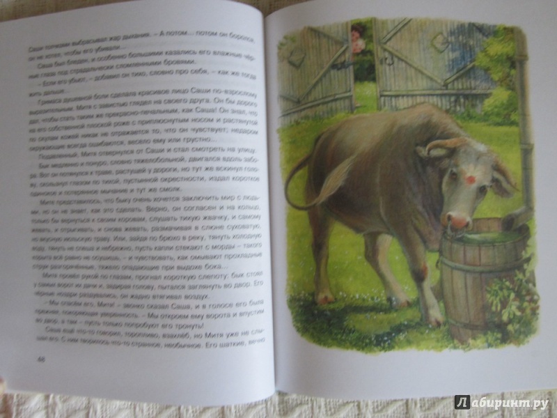 Иллюстрация 21 из 38 для Рассказы для детей - Юрий Нагибин | Лабиринт - книги. Источник: ЮлияО
