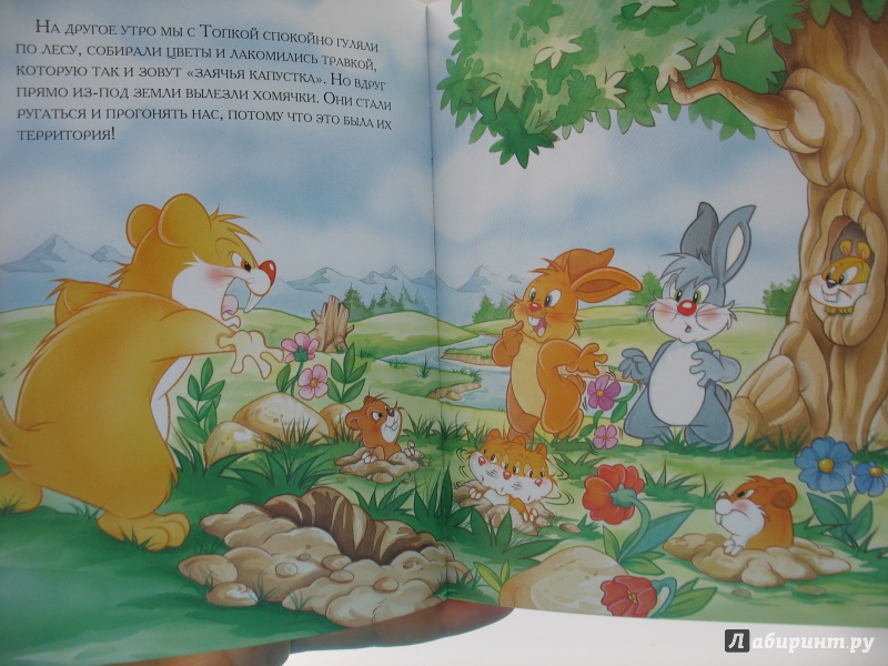 Иллюстрация 24 из 26 для Зайчик, который нашел морковное поле | Лабиринт - книги. Источник: Крелена