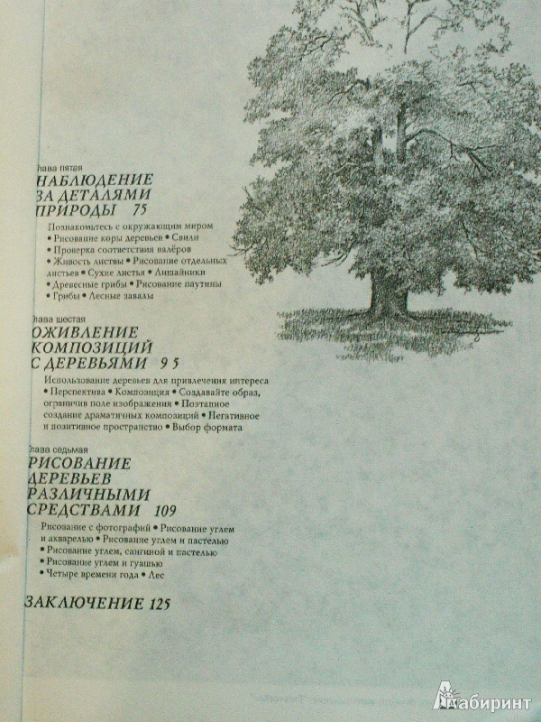 Иллюстрация 48 из 61 для Деревья - Стенли Молцмен | Лабиринт - книги. Источник: Воронина  Екатерина Фёдоровна