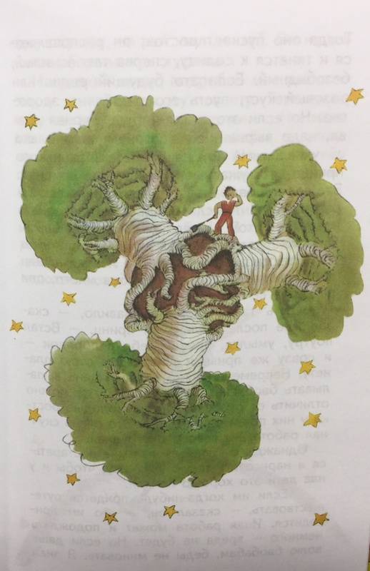 Иллюстрация 75 из 123 для Маленький принц - Антуан Сент-Экзюпери | Лабиринт - книги. Источник: Белова  Ангелина Андриановна