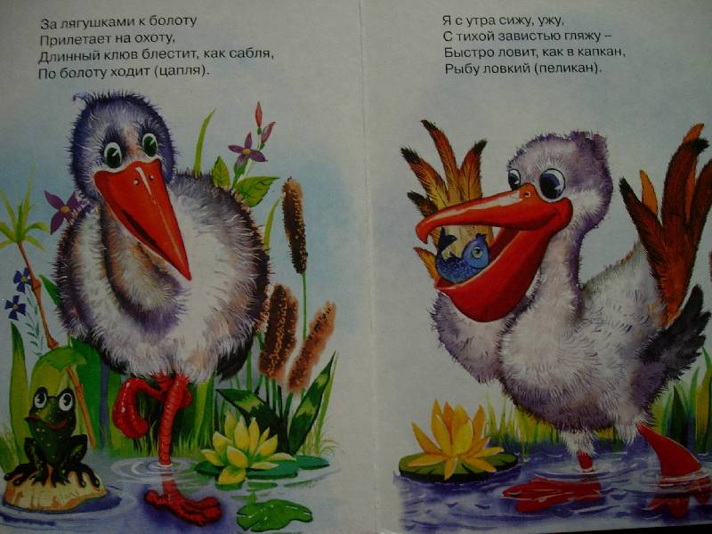 Иллюстрация 1 из 5 для Загадки про птиц | Лабиринт - книги. Источник: Geny