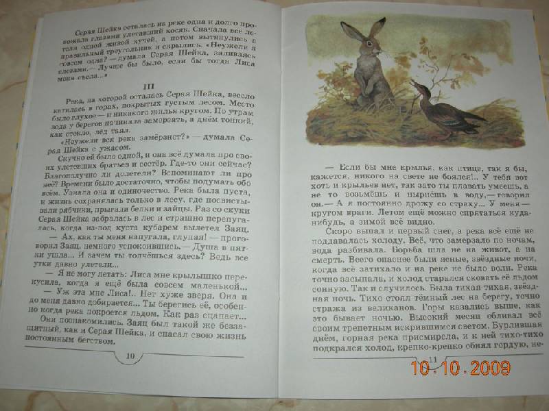 Иллюстрация 7 из 18 для Серая Шейка - Дмитрий Мамин-Сибиряк | Лабиринт - книги. Источник: Соловей