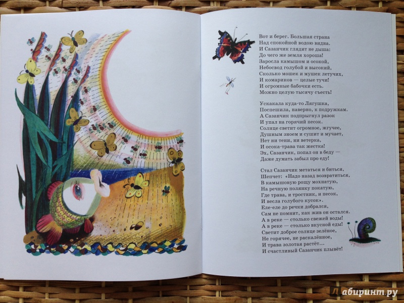 Иллюстрация 20 из 57 для Кукареку - Ирина Токмакова | Лабиринт - книги. Источник: Транжира
