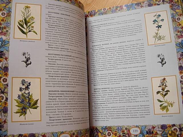 Иллюстрация 5 из 8 для Русский травник | Лабиринт - книги. Источник: Читательница.