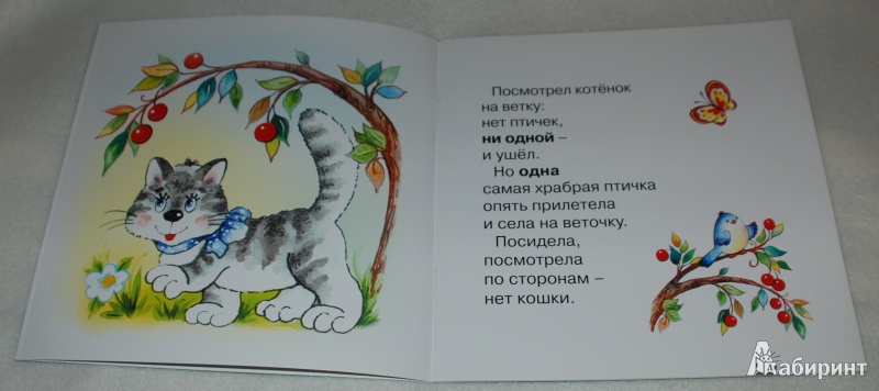 Иллюстрация 16 из 32 для Один и много - Светлана Теплюк | Лабиринт - книги. Источник: Книжный кот