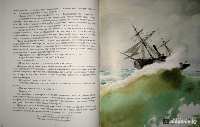 Иллюстрация 57 из 80 для Дети капитана Гранта - Жюль Верн | Лабиринт - книги. Источник: Трухина Ирина