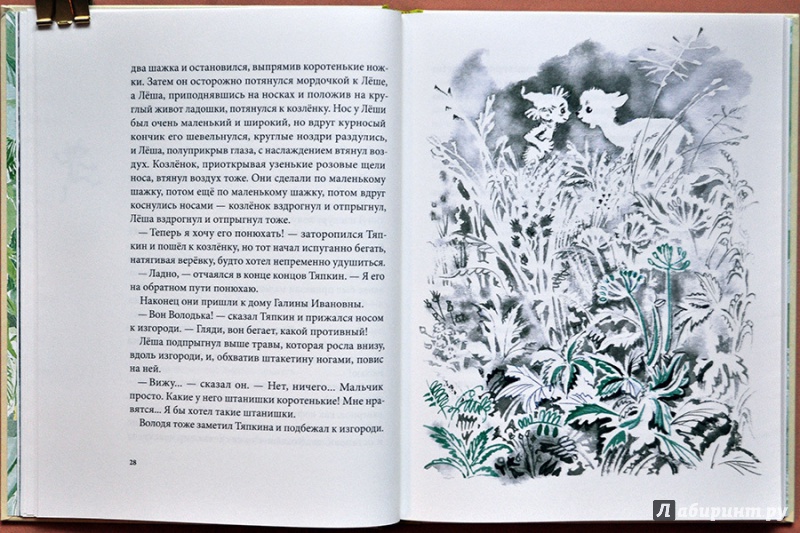 Иллюстрация 53 из 86 для Тяпкин и Леша - Майя Ганина | Лабиринт - книги. Источник: Раскова  Юлия