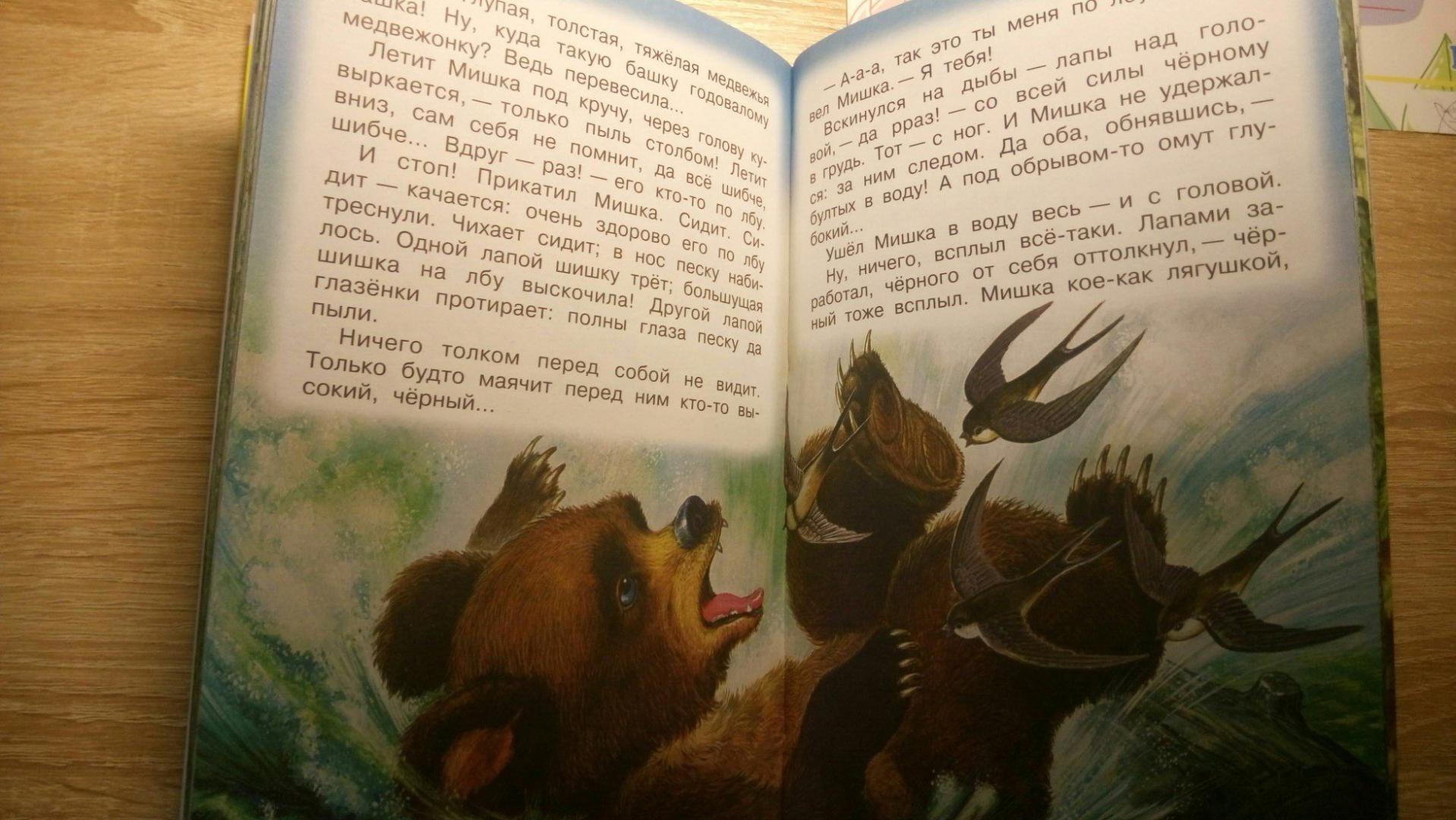 Иллюстрация 18 из 21 для Рассказы о природе - Бианки, Сладков, Пришвин | Лабиринт - книги. Источник: Анна888