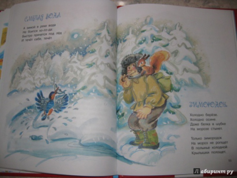 Иллюстрация 38 из 40 для В новогоднем лесу - Владимир Степанов | Лабиринт - книги. Источник: Анна888