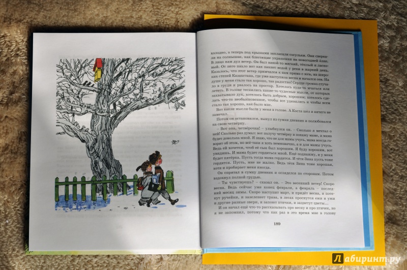 Иллюстрация 6 из 19 для Витя Малеев в школе и дома - Николай Носов | Лабиринт - книги. Источник: Лабиринт