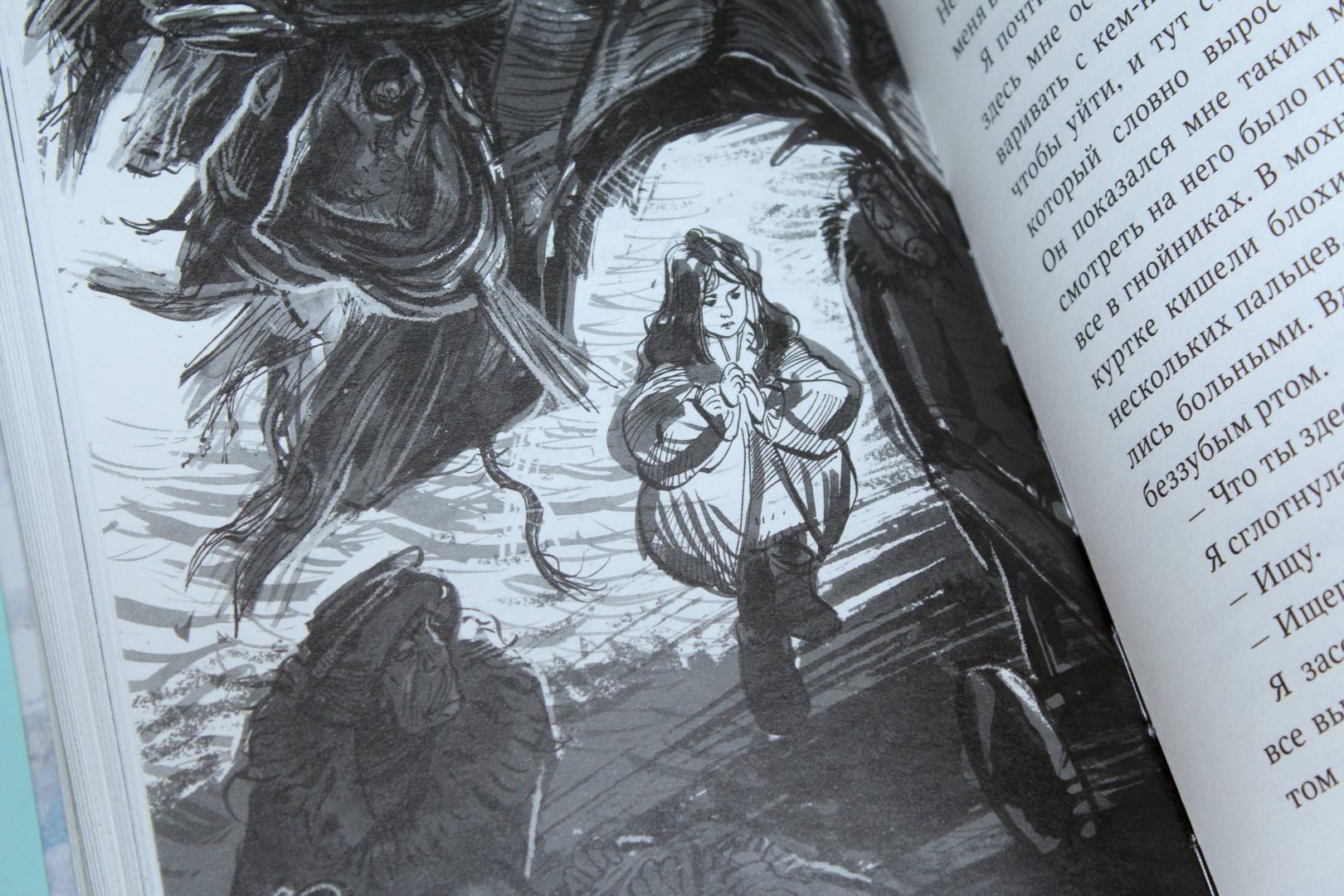 Иллюстрация 52 из 83 для Пираты Ледового моря - Фрида Нильсон | Лабиринт - книги. Источник: Katerina