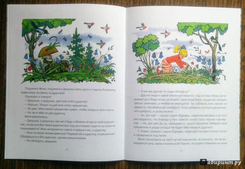 Иллюстрация 25 из 33 для Дудочка и кувшинчик - Валентин Катаев | Лабиринт - книги. Источник: Natalie Leigh