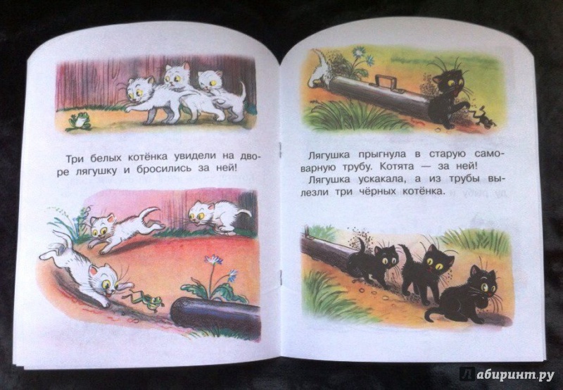 Иллюстрация 17 из 19 для Три котёнка - Владимир Сутеев | Лабиринт - книги. Источник: Zabava