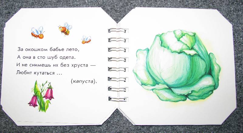 Иллюстрация 6 из 30 для Что в огороде растет - А. Геращенко | Лабиринт - книги. Источник: Апельсинка
