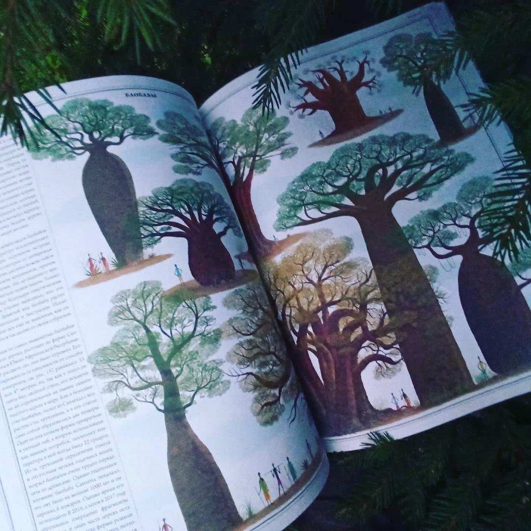 Иллюстрация 66 из 70 для Деревья - Соха, Грайковский | Лабиринт - книги. Источник: Sv_84