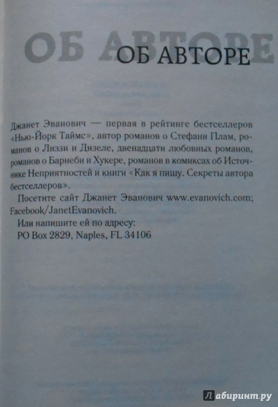 Иллюстрация 25 из 28 для Искатели сокровищ - Джанет Иванович | Лабиринт - книги. Источник: Laki