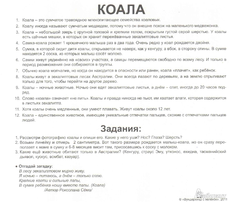 Иллюстрация 19 из 27 для Комплект карточек "Дикие животные" (16,5х19,5 см) - Носова, Епанова | Лабиринт - игрушки. Источник: irinka_kiv