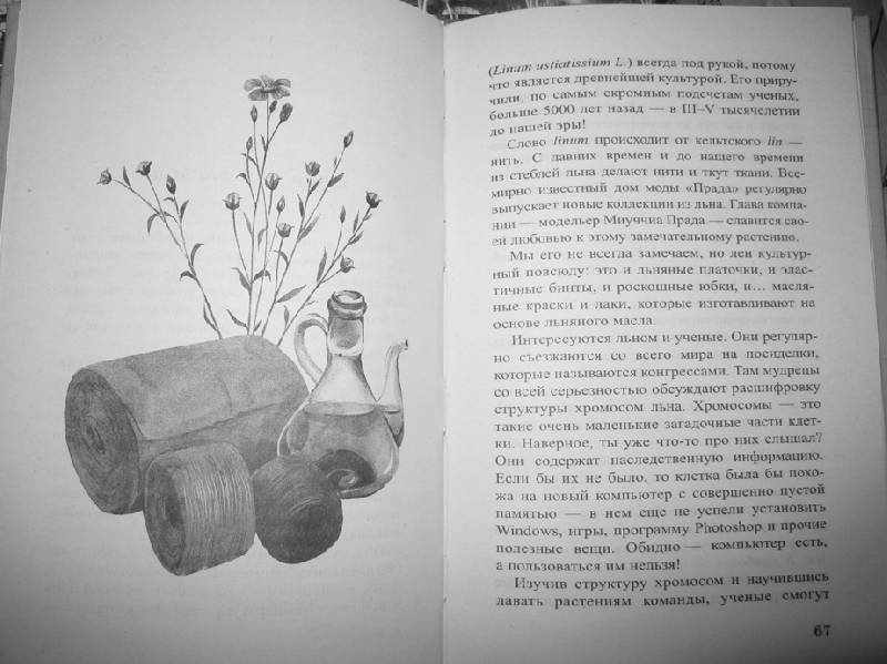 Иллюстрация 3 из 16 для Клад на подоконнике - Ольга Кувыкина | Лабиринт - книги. Источник: Книголюб