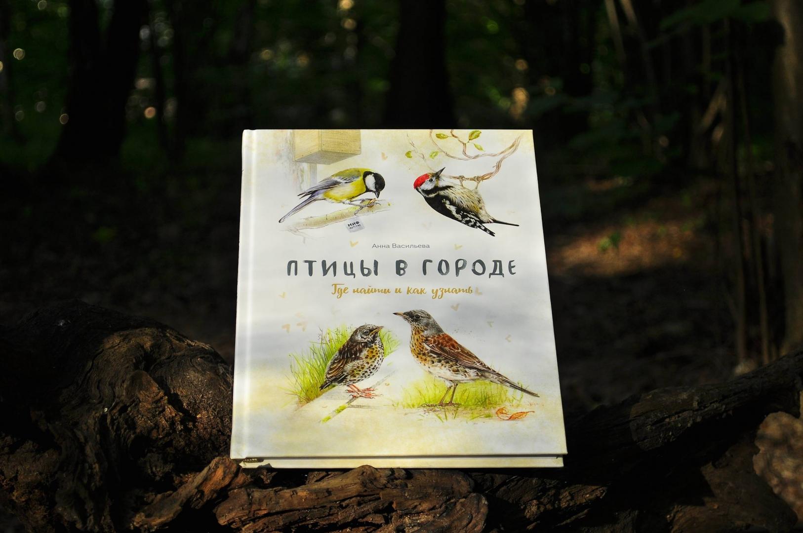 Птицы книга отзывы. Книга «птицы в городе». Городские птицы книга.