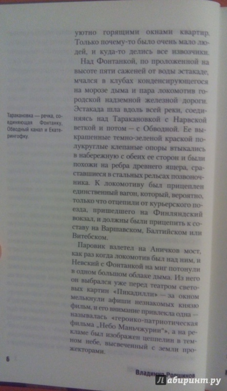 Иллюстрация 10 из 14 для Князь механический - Владимир Ропшинов | Лабиринт - книги. Источник: ya-hha