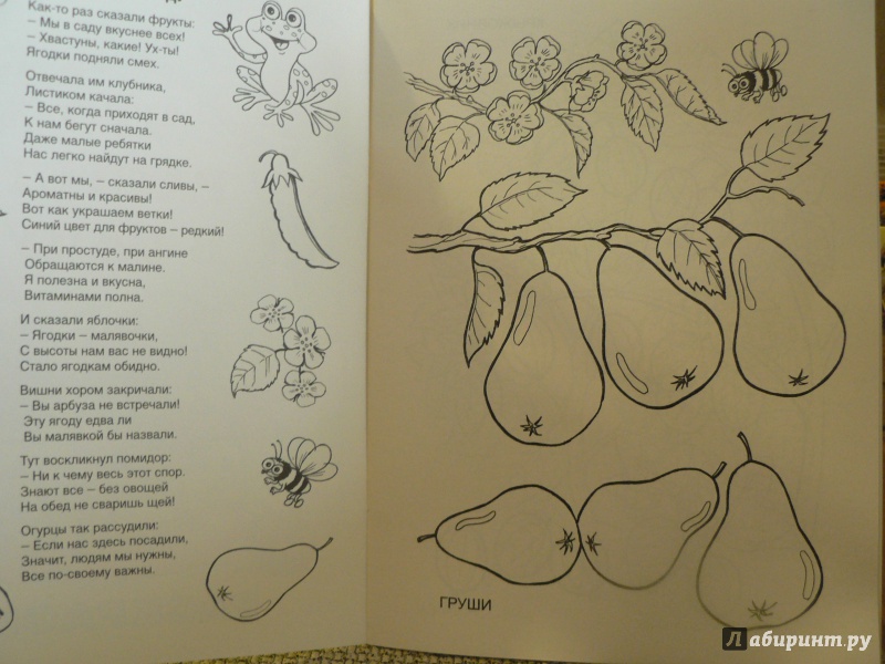 Иллюстрация 1 из 10 для Что растет в саду - Татьяна Коваль | Лабиринт - книги. Источник: Рудбекия