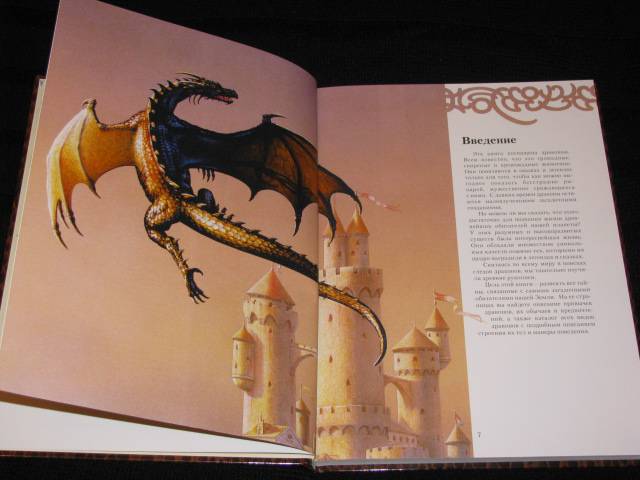Иллюстрация 24 из 50 для Книга дракона - Кабрал Сируелло | Лабиринт - книги. Источник: Nemertona