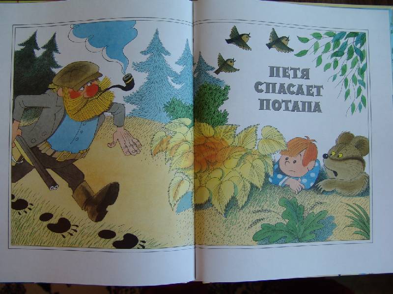 Иллюстрация 70 из 73 для Петя и медвежонок Потап - Виктор Чижиков | Лабиринт - книги. Источник: Лаванда