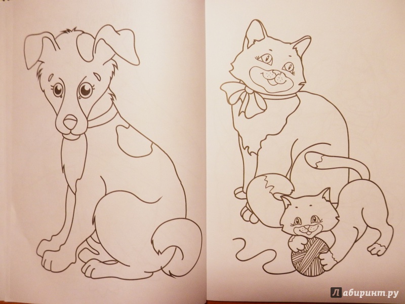 Иллюстрация 9 из 46 для Суперраскраска. Животные | Лабиринт - книги. Источник: Грашина  Варвара Анатольевна