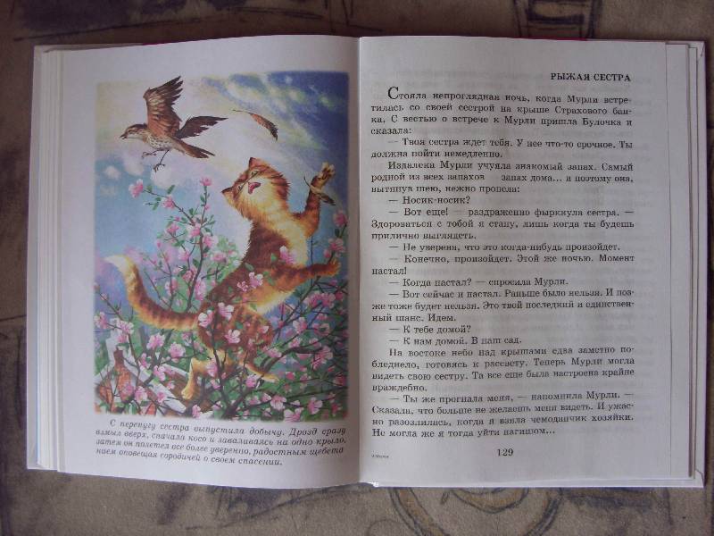 Иллюстрация 20 из 20 для Мурли: Сказочная повесть - Анни Шмидт | Лабиринт - книги. Источник: Золотая рыбка