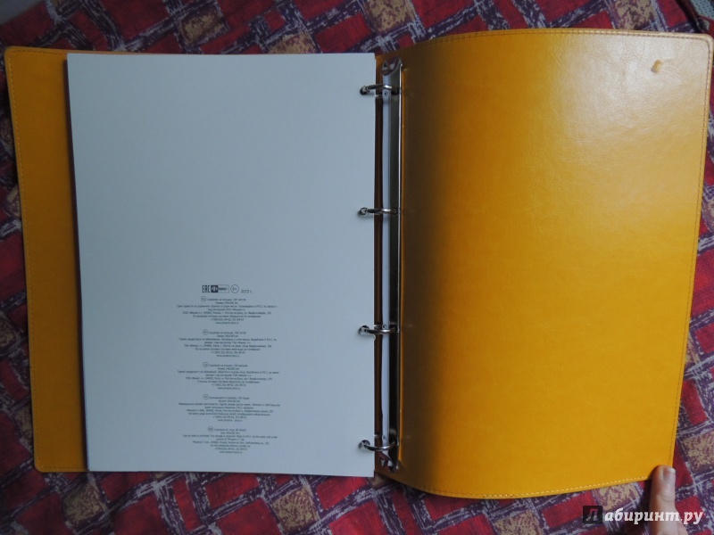 Иллюстрация 5 из 11 для Тетрадь на кольцах "Copybook" со сменным блоком (200 листов, А4+, фиолетово-желтая) (37937) | Лабиринт - канцтовы. Источник: WasiaShtein