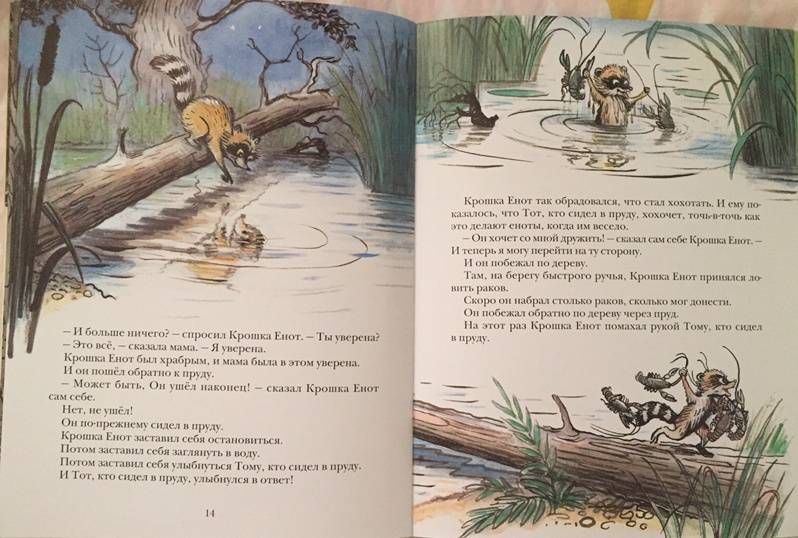 Иллюстрация 95 из 97 для Крошка Енот и тот, кто сидит в пруду - Лилиан Муур | Лабиринт - книги. Источник: Шпортун  Алена Игоревна