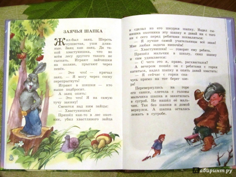 Иллюстрация 20 из 36 для Синие листья - Валентина Осеева | Лабиринт - книги. Источник: Сандракова Юля