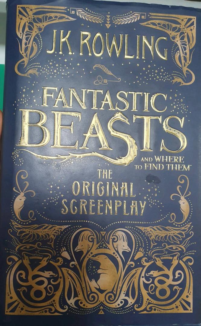 Иллюстрация 19 из 24 для Fantastic Beasts and Where to Find Them. The Original Screenplay - Joanne Rowling | Лабиринт - книги. Источник: Анжелика